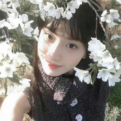 监察局长