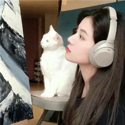胖子行动队